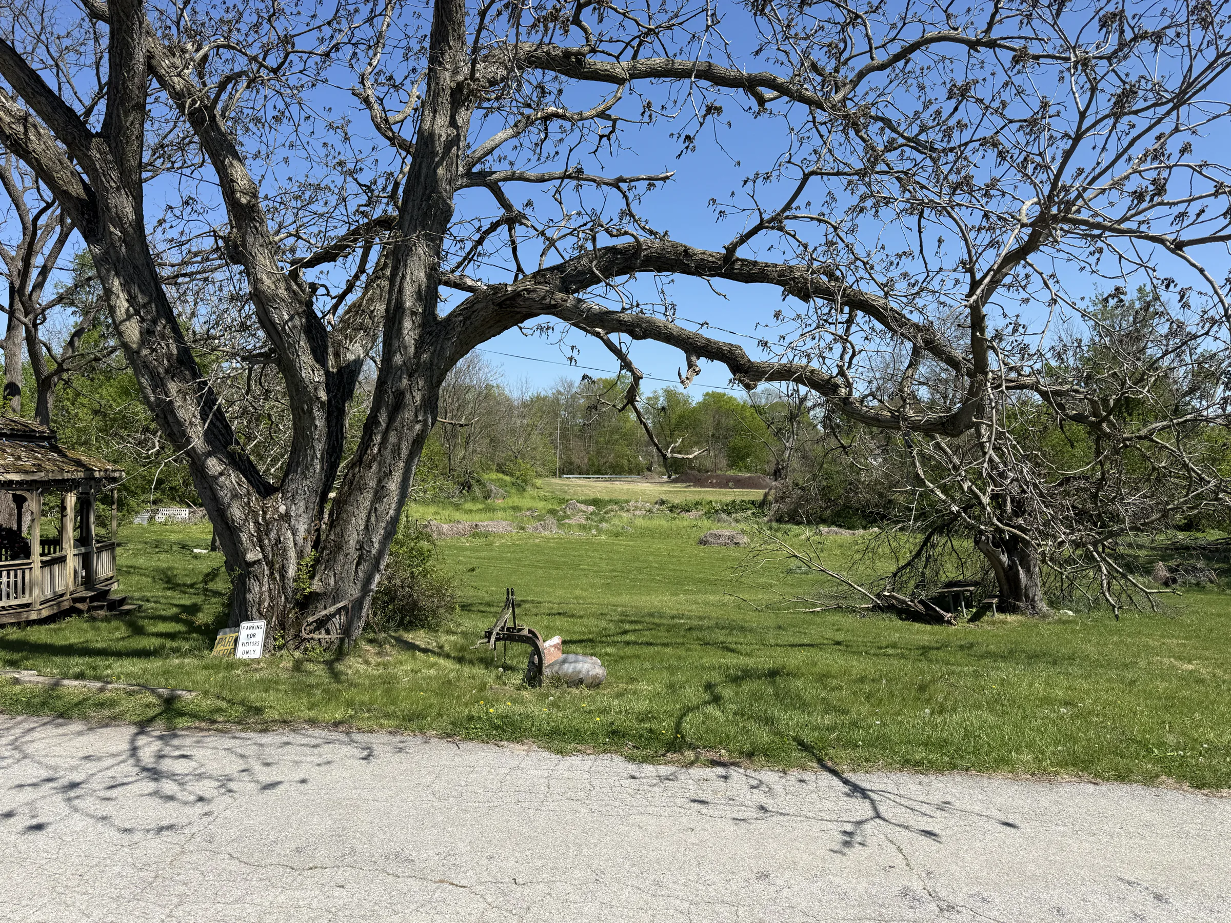 Driveway toward stream