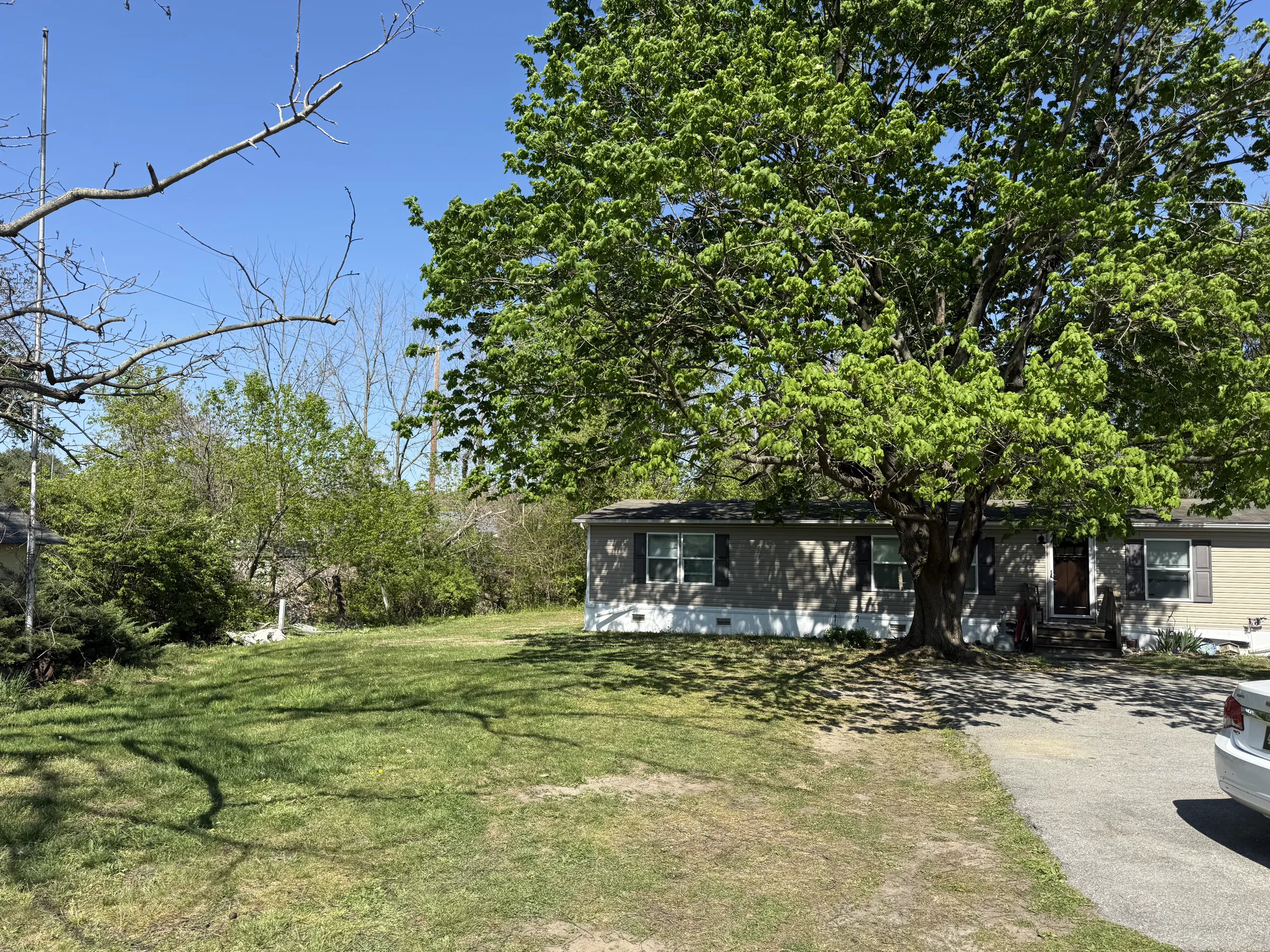 Trailer mostly w tree